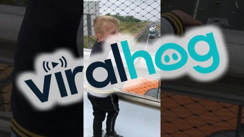 Boy Waves to Truckers || ViralHog