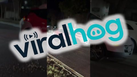 Self-Driving Cars Cause a Massive Traffic Jam in Austin, Texas || ViralHog