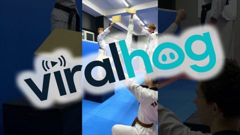 Taekwondo Tricks || ViralHog