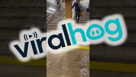 Stairs Become A Waterfall || ViralHog