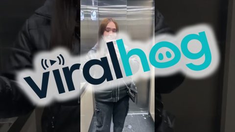 Spilling An Earthquake || ViralHog
