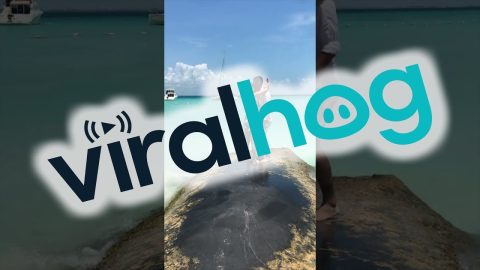 Guy Slips and Falls Into Water While Trying to Propose || ViralHog