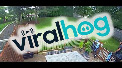 Distracted Driver Barrels Through Backyards || ViralHog