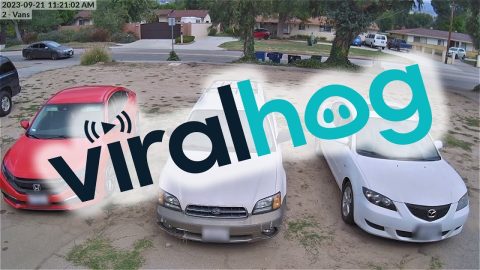 Car Plows Through Garbage Bins || ViralHog