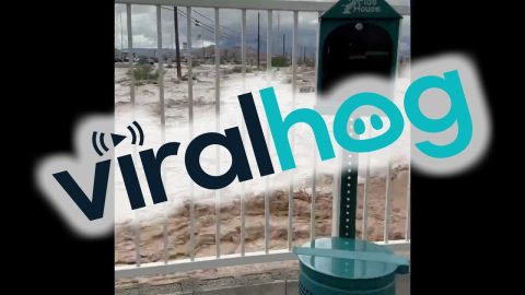Flooding Outside Las Vegas Apartments || ViralHog