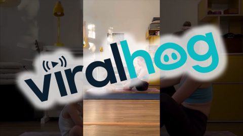 Baby Does Yoga With Mom || ViralHog