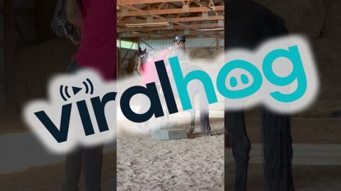 Horse Rider Scares Her Horse With A Toot || ViralHog