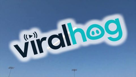 A Flying Tampon || ViralHog