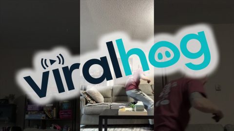 Perfect Dog To Binge A Season With || ViralHog