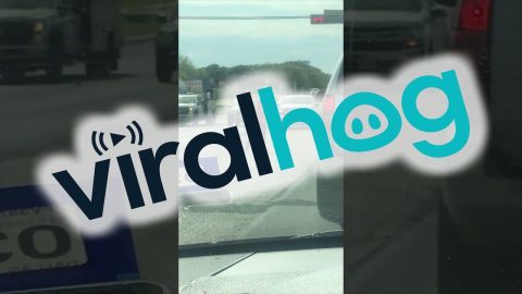 Dancing Highway Traffic Director || ViralHog