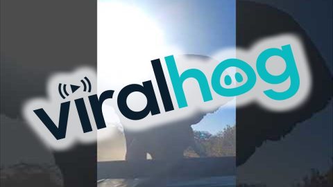 Bull Elephant Charges Touring Vehicle || ViralHog