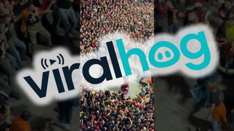 Crowd Enjoying La Patum Festivities in Berga, Catalonia || ViralHog
