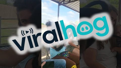 Monkey's Got a Strong Grip || ViralHog