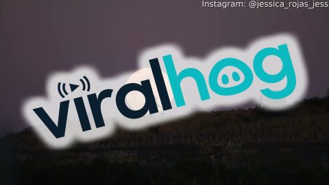 Full Moon Rises Behind Acrobat || ViralHog