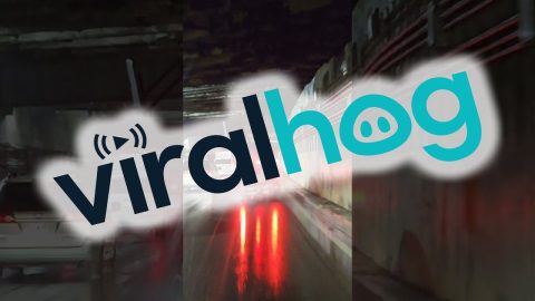 Transporting A Basketball Hoop || ViralHog