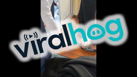 A Common Tripping Hazard || ViralHog