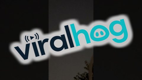 UFOs Above Disneyland || ViralHog