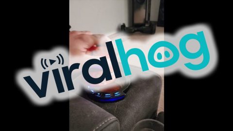 Salsa Fits Perfectly In Couch's Cup Holder || ViralHog