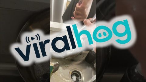 When Your Brother Tries to Cook || ViralHog