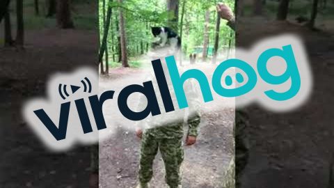 Playful Kitten Climbs Up Soldier || ViralHog