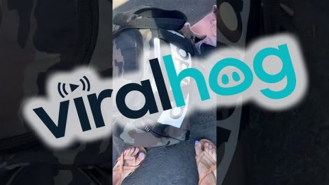 Alleged Car Thief Confronted and Given $40 || ViralHog