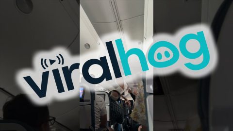 Ceiling Panel Fail On Airplane || ViralHog