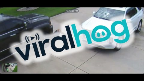 Little Helper Hides Phone In Car Grille || ViralHog