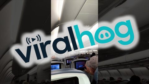 Overbooked Airplane Passengers Offered Money To Get Off Flight || ViralHog