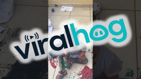 Daughter Makes a Mess With Gouache Paint || ViralHog