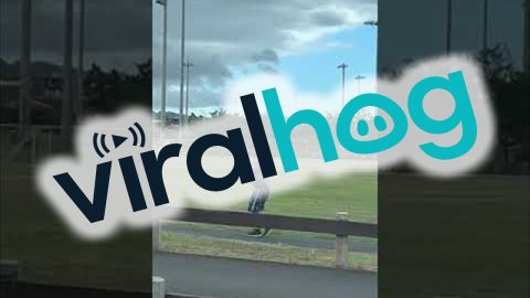 Deer Herd Stampede Across Hawaiian Park || ViralHog