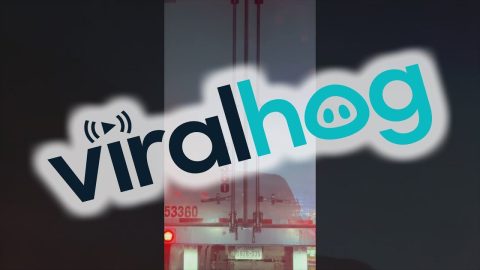 Traffic Jam Shadow Puppets || ViralHog