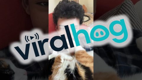 Her Secrets Will Stay Secret || ViralHog