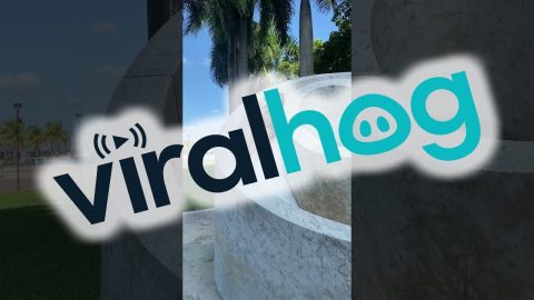 Woman Thuds Off Slide || ViralHog
