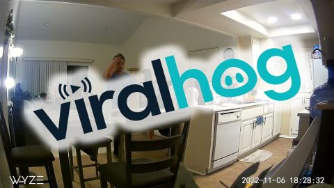 VR Player Breaks A TV || ViralHog