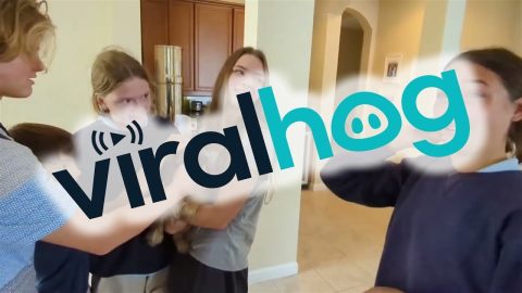Surprising Student Siblings With A Puppy || ViralHog