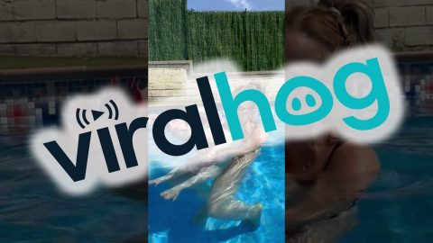 Roxy And Mom Cool Off In The Pool || ViralHog