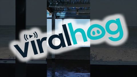 Cape Town Restaurant Gets Flooded by Massive Wave || ViralHog