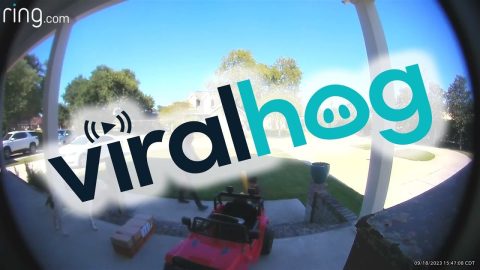 Father And Son Play Tee Ball || ViralHog