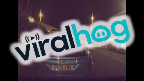 Man Runs Across Car's Roof || ViralHog