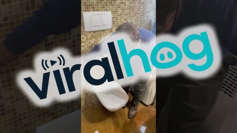 Bathroom Renovation Disaster || ViralHog