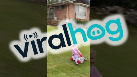 Boy Faceplants While Running Downhill || ViralHog