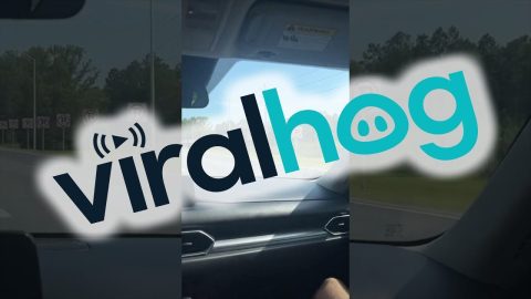 No Parking || ViralHog