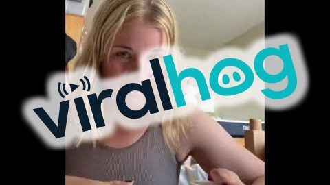 Guy Plays With Cat During Partner's Online Class || ViralHog