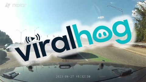 Window Falls Out Of Car || ViralHog