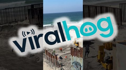 Migrants and Stray Dog Run Across Open US-Mexico Border Fence in Tijuana || ViralHog