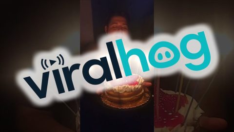 Well That's One Way To Blow Out Candles || ViralHog