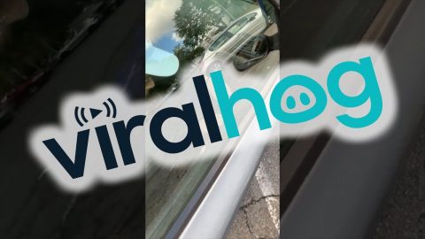 Car Window Only Works When Plugged In || ViralHog