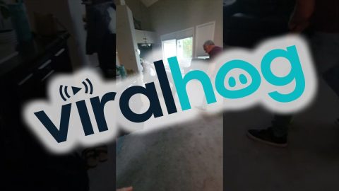 Puppy Is Excited To See Family || ViralHog