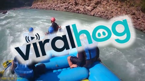 White Water Rafters Narrowly Avoid Disaster || ViralHog