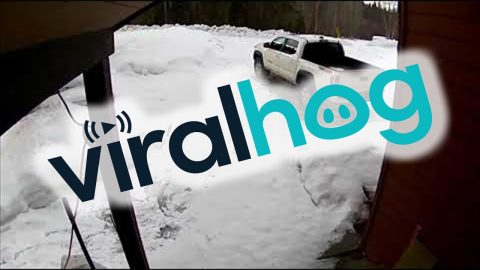 Hidden Ice Patch Causes Slip || ViralHog